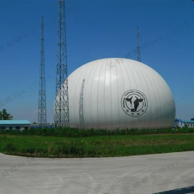 PVDF جھلی میں دوہری جھلی گیس ڈوموم